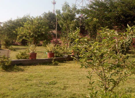 Masuria Hill Garden, Jodhpur