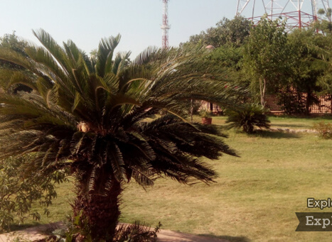 Masuria Hill Garden, Rajasthan