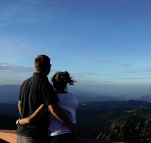 Munnar Holiday Honeymoon Tour Package