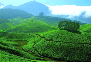 Munnar