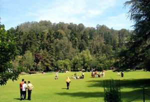 ooty-botanical-garden