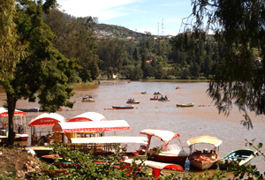 ooty tourist places top 10