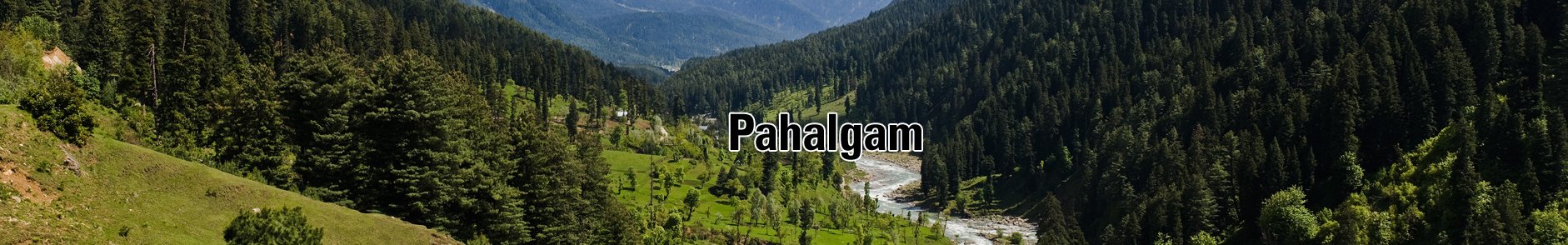 Hotel Himalaya House Pahalgam