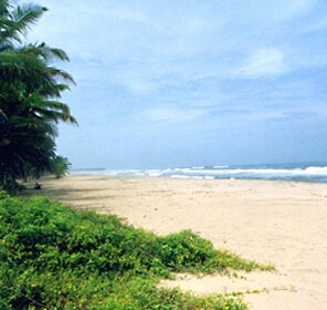 Payyoli Beach