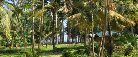 Pearl Park Beach Resort Neil Island, Andaman and Nicobar