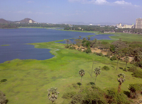 Powai Lake Maharashtra