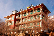 Hotel Prakash Regency Sangla