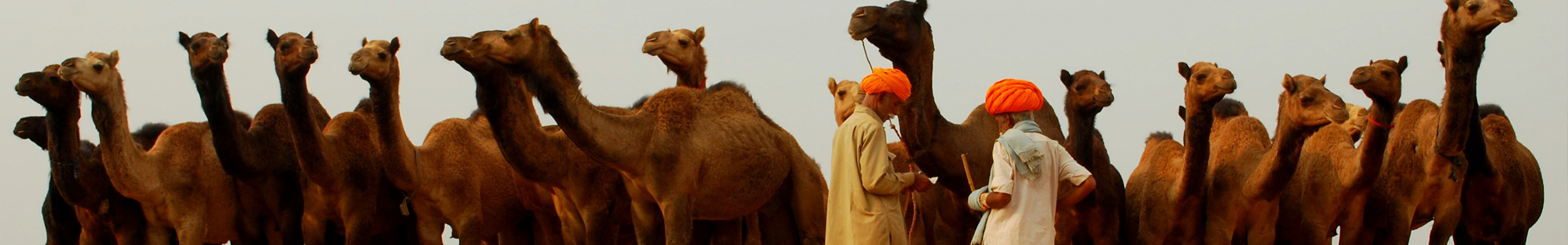 Pushkar Festival