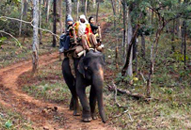 Satpura National Park, Madhya Pradesh