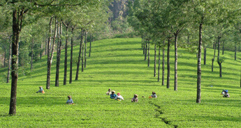 Best of South India Hill Stations