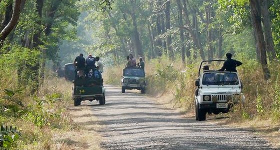 Tadoba Andhari Tiger Reserve