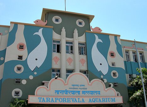 Taraporewala Aquarium Mumbai