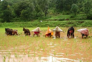 Walvanda, Maharashtra