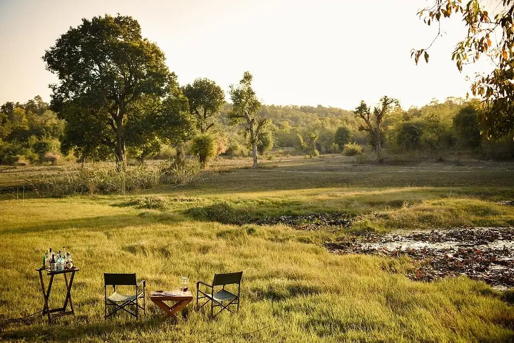 Bandhavgarh Meadows