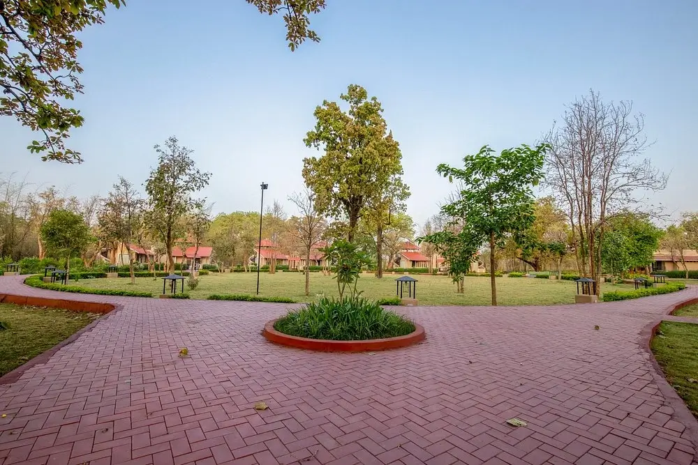 Bundela Jungle Lodge