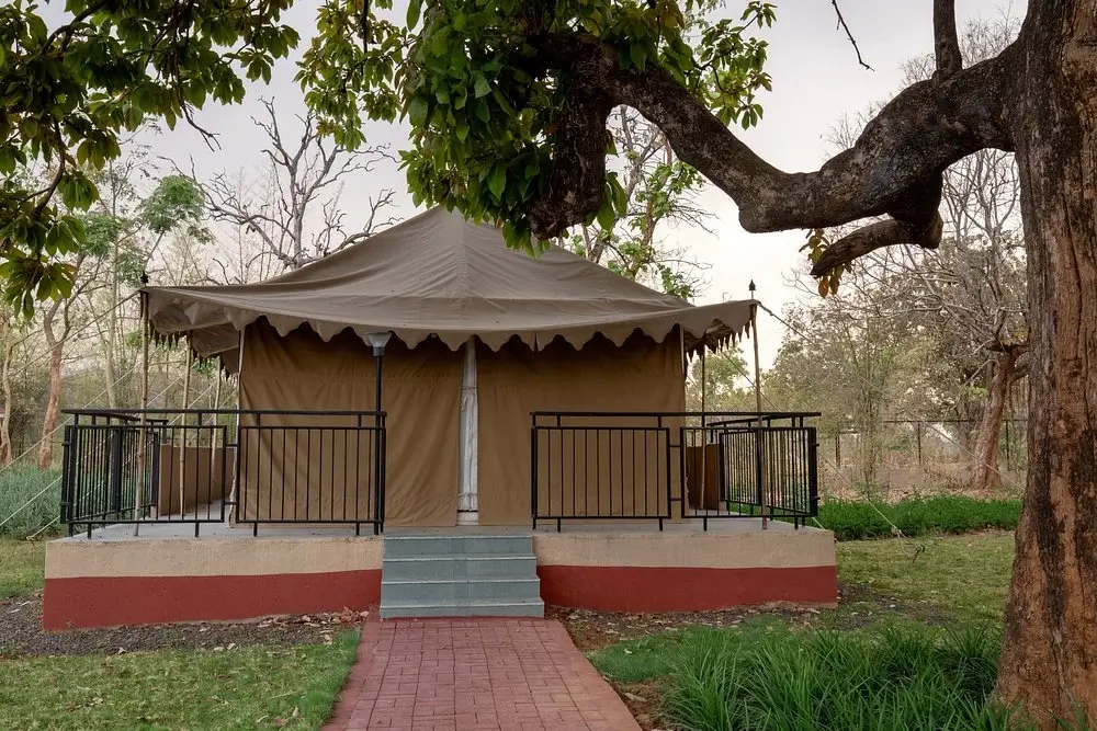 Bundela Jungle Lodge