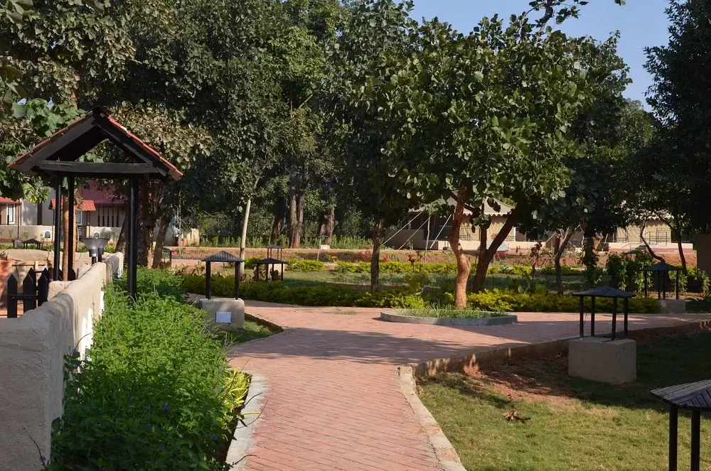 Bundela Jungle Lodge