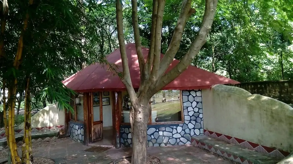 Camp Riverwild Resort