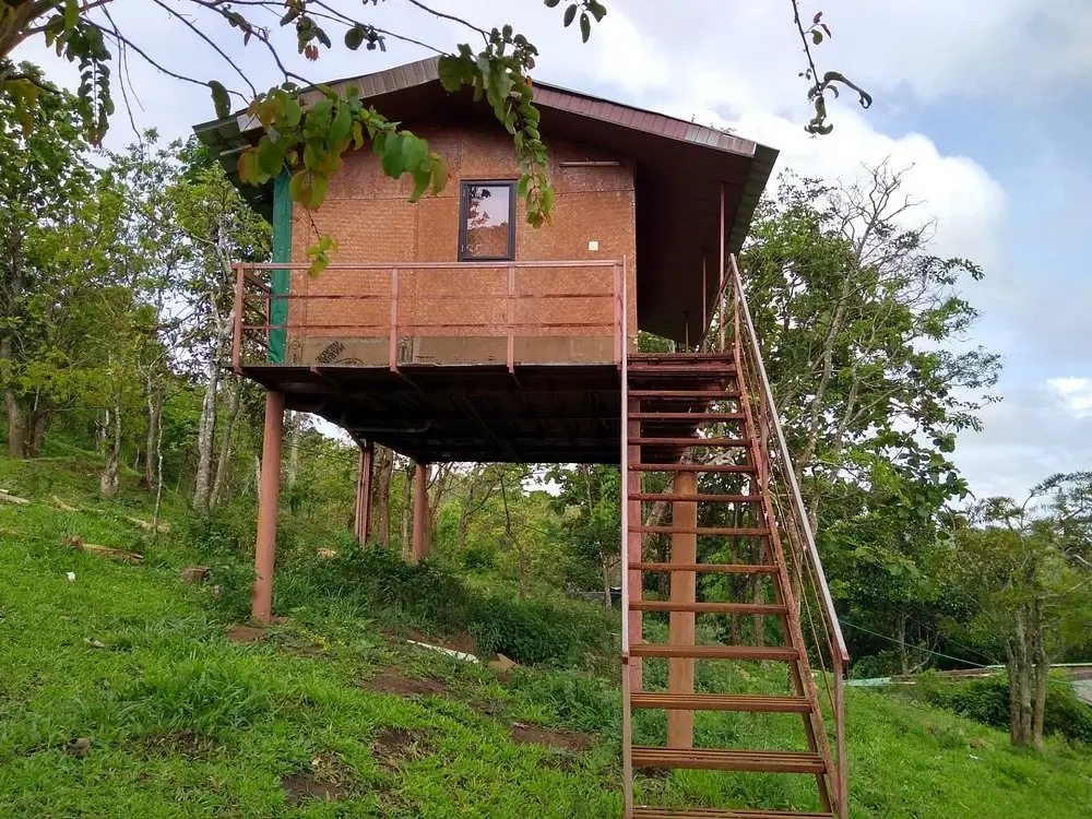 Punarjani Ayurvedic Resorts, Thekkady