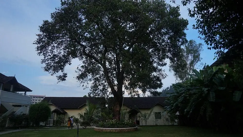 Springdale Heritage Resort, Thekkady