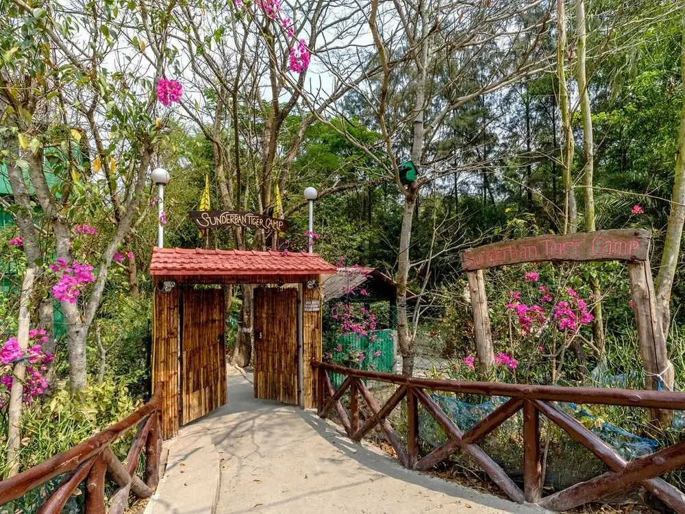Sunderban Tiger Camp