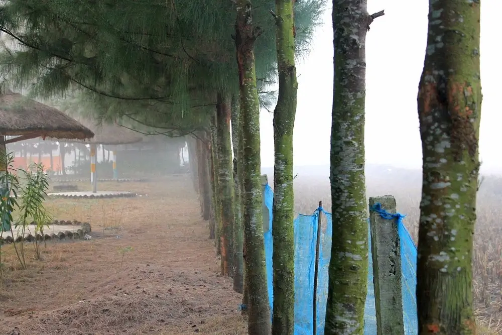 Sunderban Tiger Land Resort