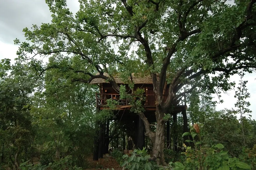 Tree House Hideaway