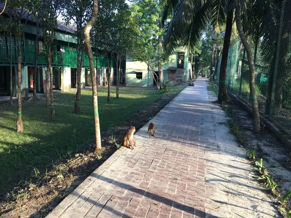 WBTDC Sajnekhali Tourist Lodge