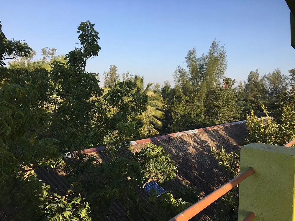 WBTDC Sajnekhali Tourist Lodge