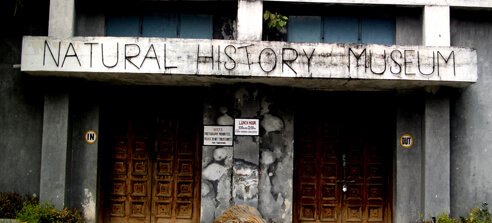 Natural History Museum