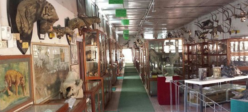 Natural History Museum