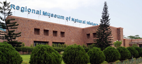 Regional Museum of Natural History