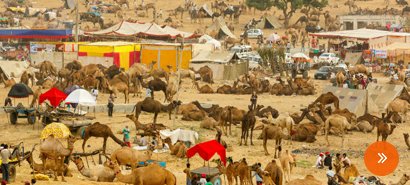 Golden Triangle with Pushkar Fair