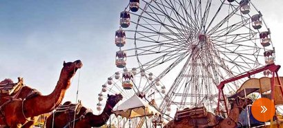 Pushkar Festival Tour