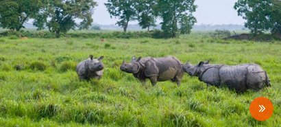 Kaziranga with Meghalaya