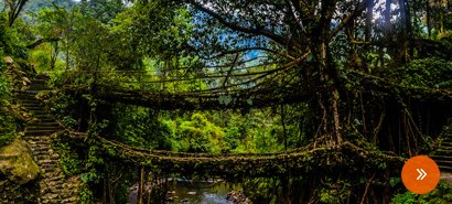 Majestic Touch of North East