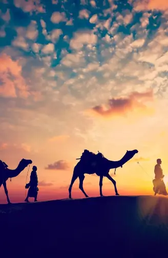 rajastha-assets/images