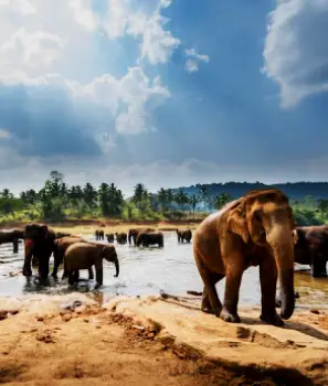 Golden Triangle Tour With Nepal