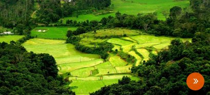 Ooty Coorg Hills with Wayanad Tour