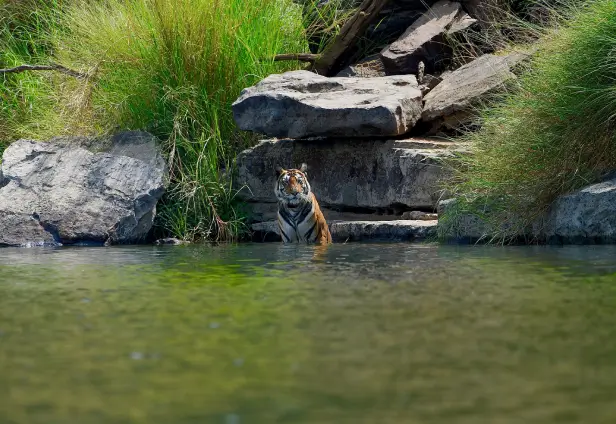 Khajuraho Panna Tour