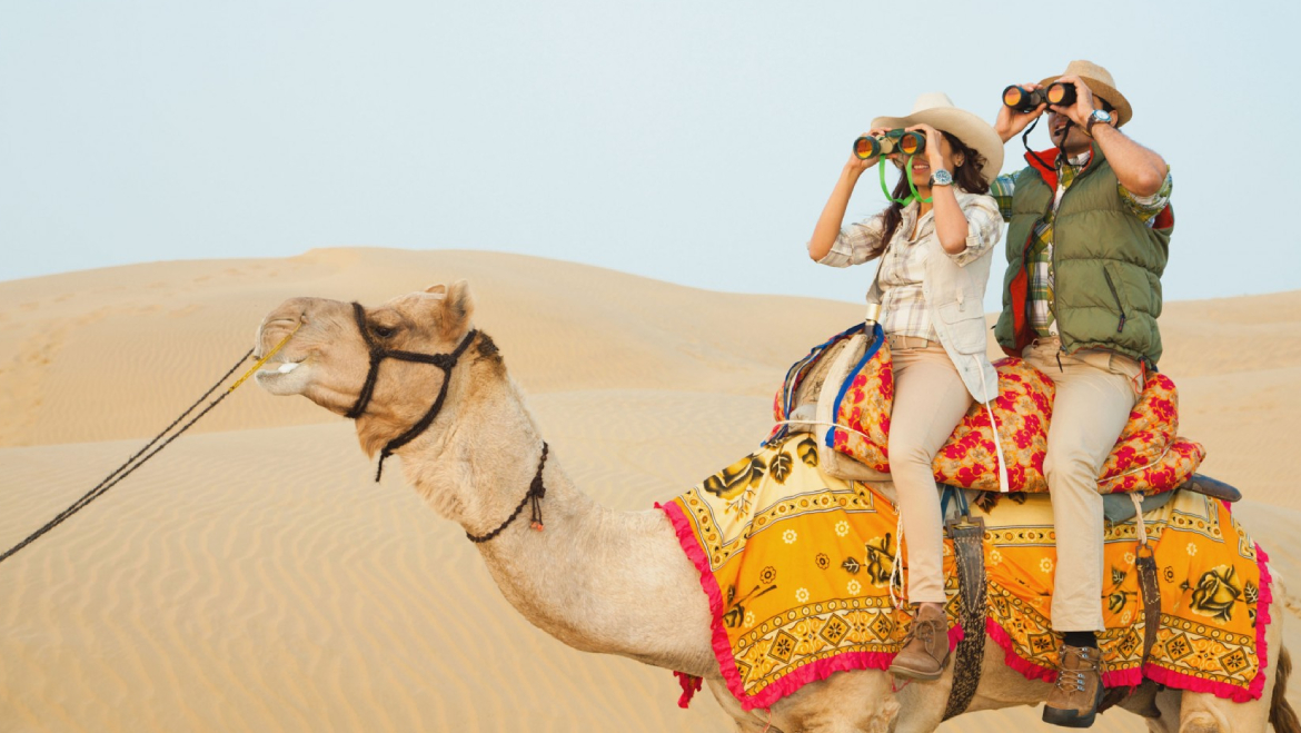 camel safari tour