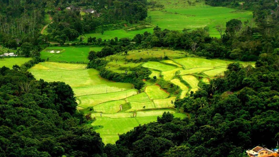 coorg is a tourist delight discuss