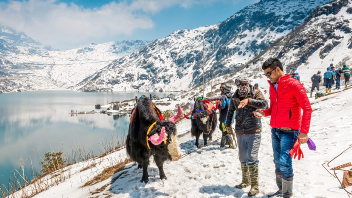 darjeeling trip couple