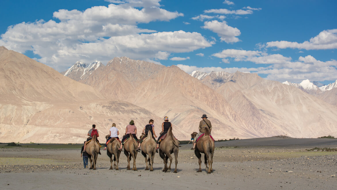 camel safari in ladakh price