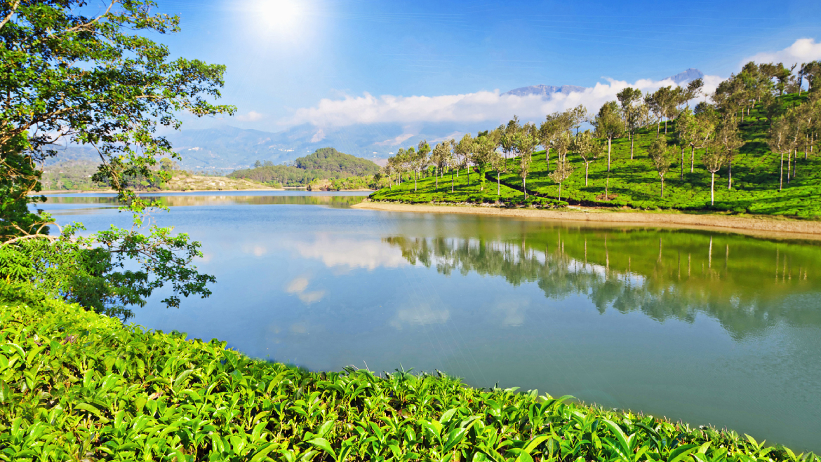 munnar tour packages from coimbatore