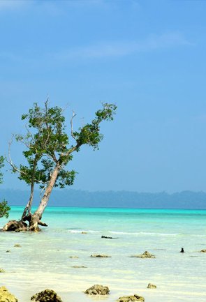 Beaches in Andaman