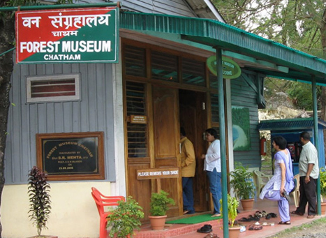Forest Museum Andaman