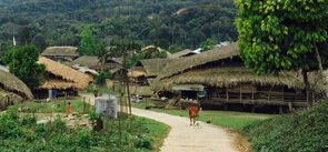 Darka Village