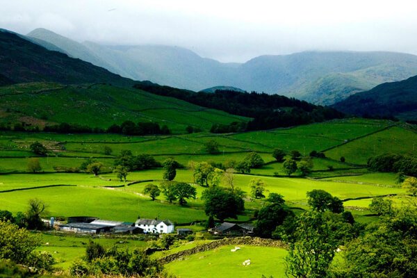 Ziro Valley, Arunachal Pradesh