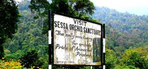 Sessa Orchid Sanctuary